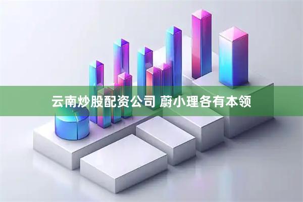 云南炒股配资公司 蔚小理各有本领